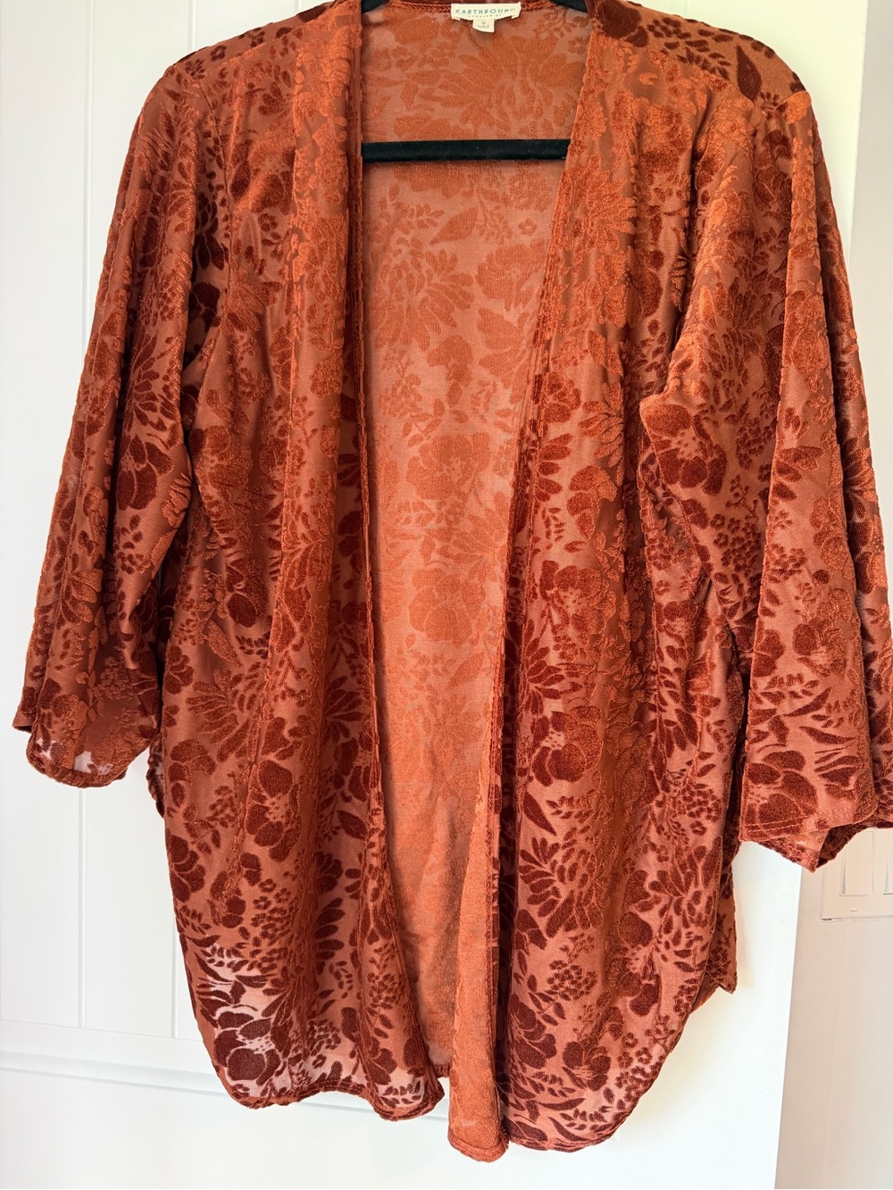Earthbound Floral Burnout Velvet Kimono Cardigan Rust Boho Small